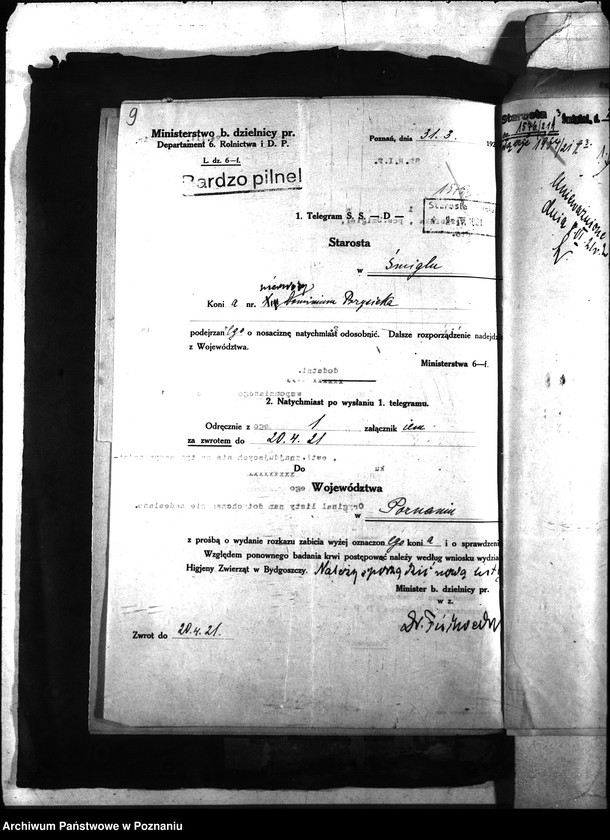 Obraz 13 z jednostki "Nosacizna - Śmigiel"