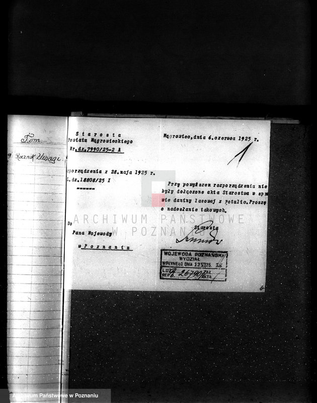 Obraz 5 z jednostki "Majętność leśna Potulice powiat wągrowiecki"