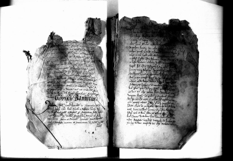 Obraz 5 z jednostki "Decreta iudicii [inducta]"