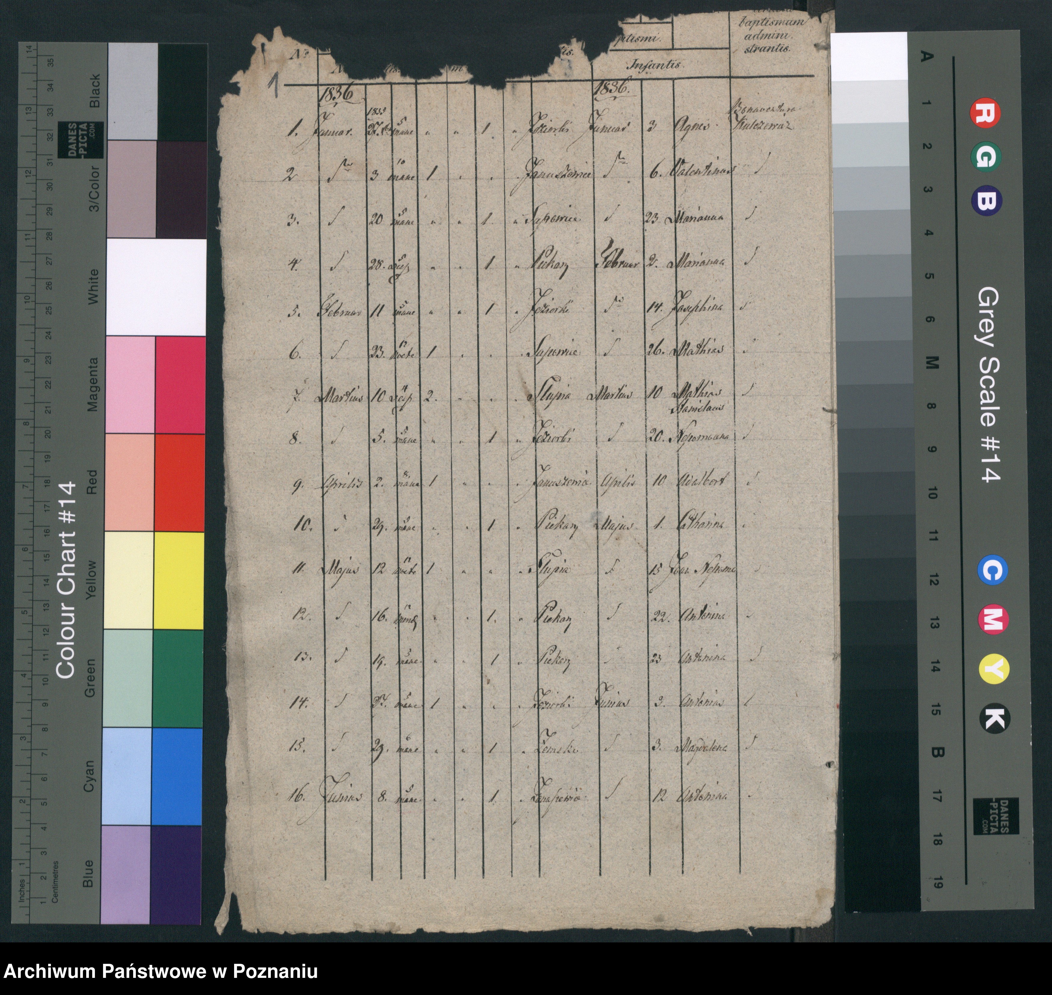 Skan z jednostki: Duplikat baptisatorum, copulatorum, mortuorum