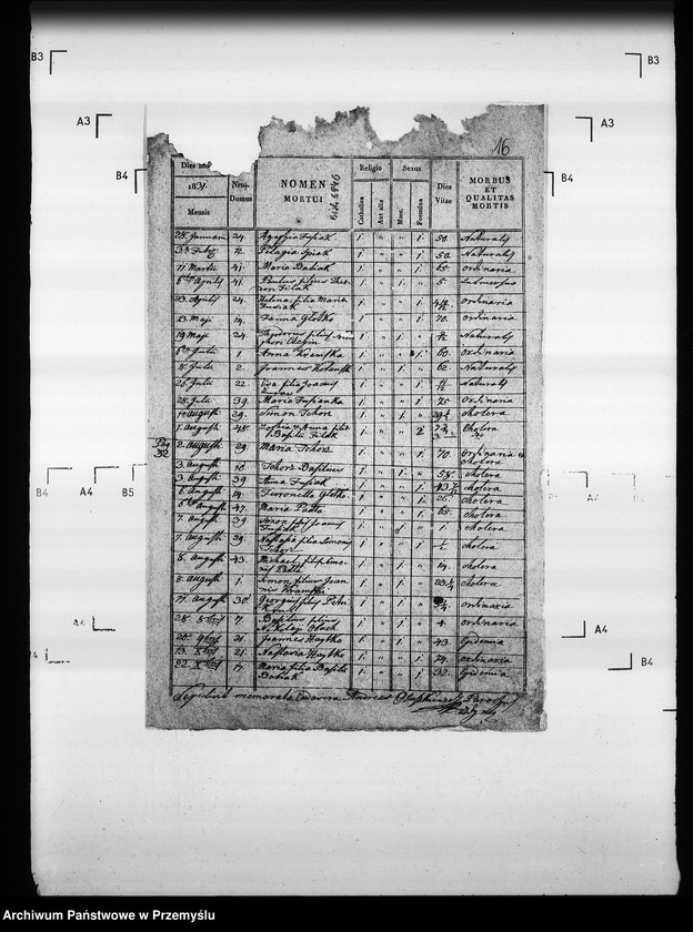 Obraz 20 z jednostki "[Kopie ksiąg metrykalnych parafii Zdynia z filiami Konieczna, Ług (dekanat Gorlice)]"