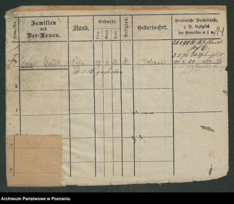 Obraz 16 z jednostki "Matecki - Matews"