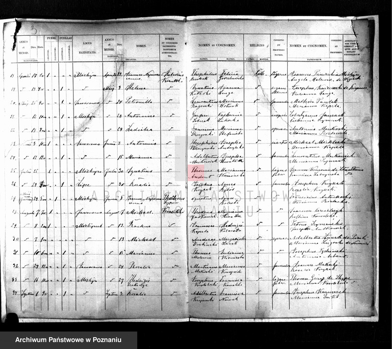 Obraz z jednostki "[Wyciąg] Ex libris baptisatorum"