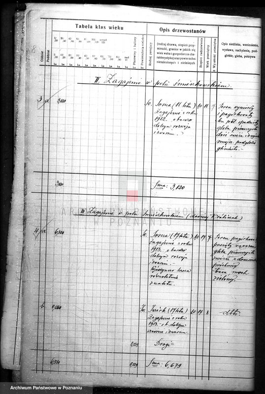 Obraz 12 z jednostki "Plan urządzania gospodarstwa leśnego dla gminy miasta Czarnkowa"