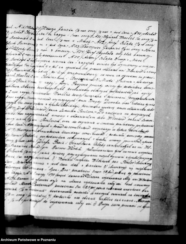 Obraz 9 z jednostki "Lustracja lasów majątku Wilczków powiat turecki"