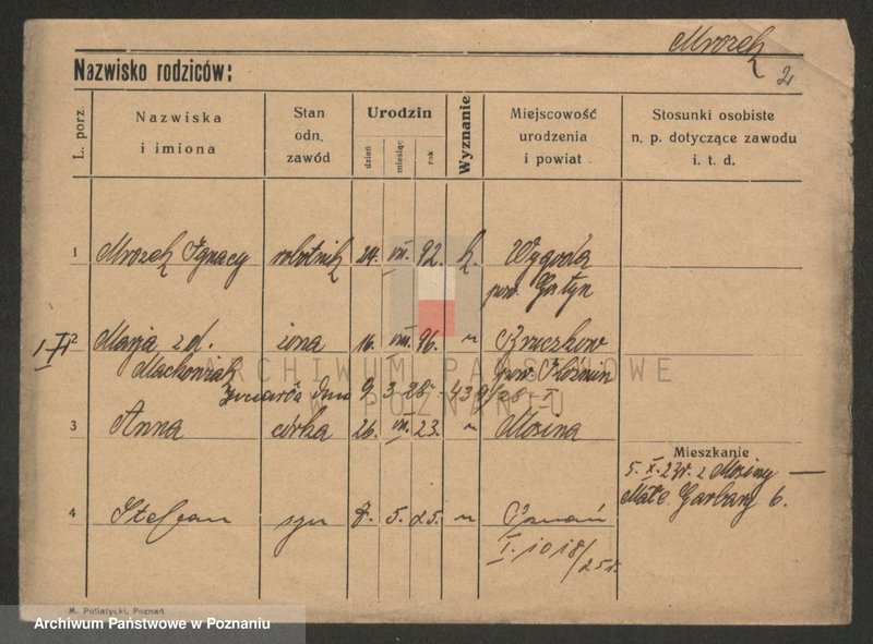 Obraz 2 z jednostki "Mrozek - Mucha"