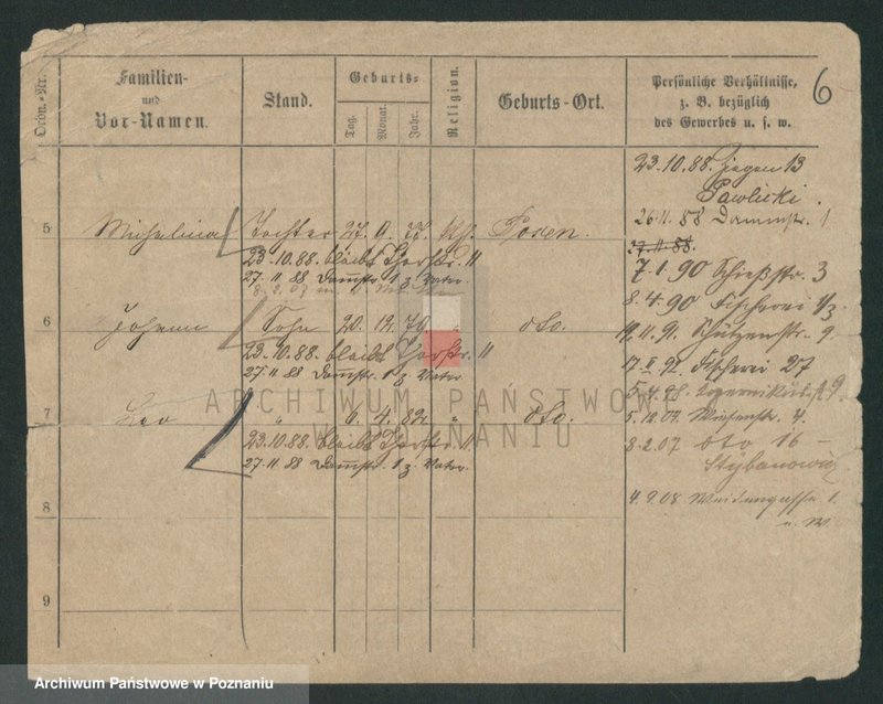 Obraz 14 z jednostki "Stybaniewicz - Suchopartka"