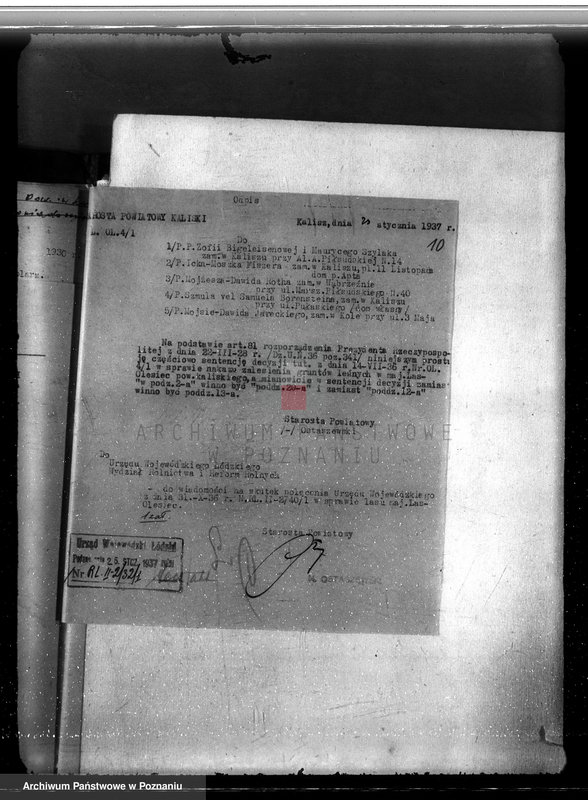 Obraz 14 z jednostki "Majętność /leśna/ Olesiec-Chocz powiat koniński"