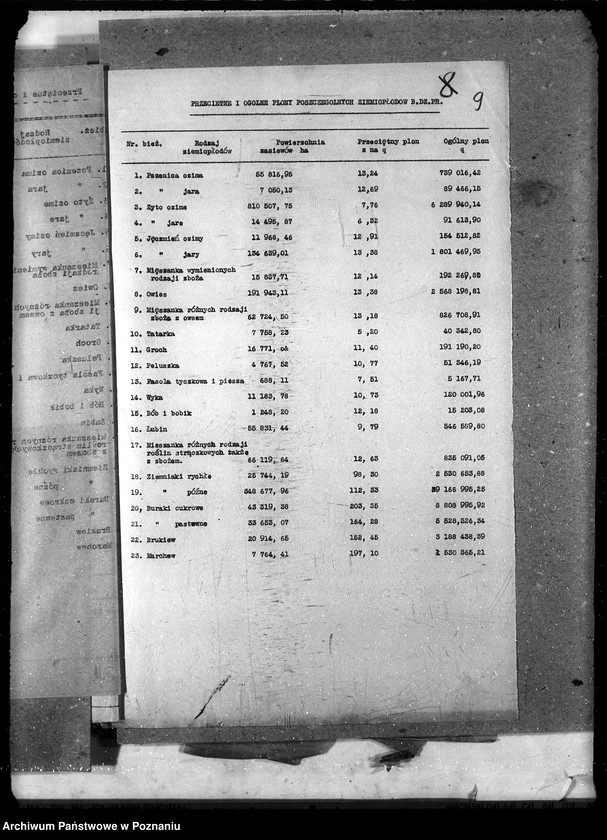 Obraz 14 z jednostki "Statystyka"