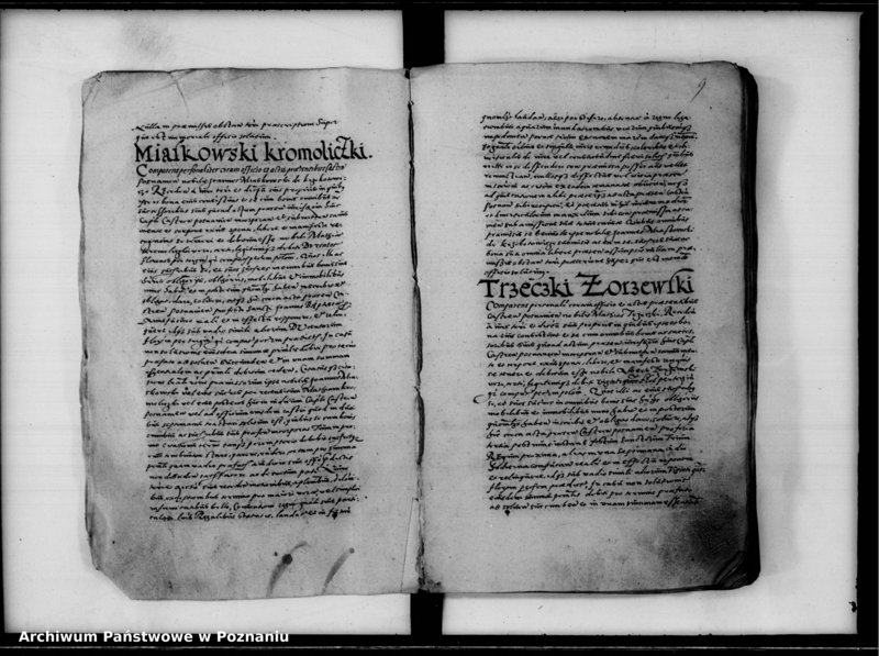 Obraz 12 z jednostki "Inscriptiones, relationes [inducta]"