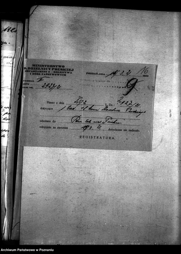 Obraz 20 z jednostki "Nosacizna - Puck"