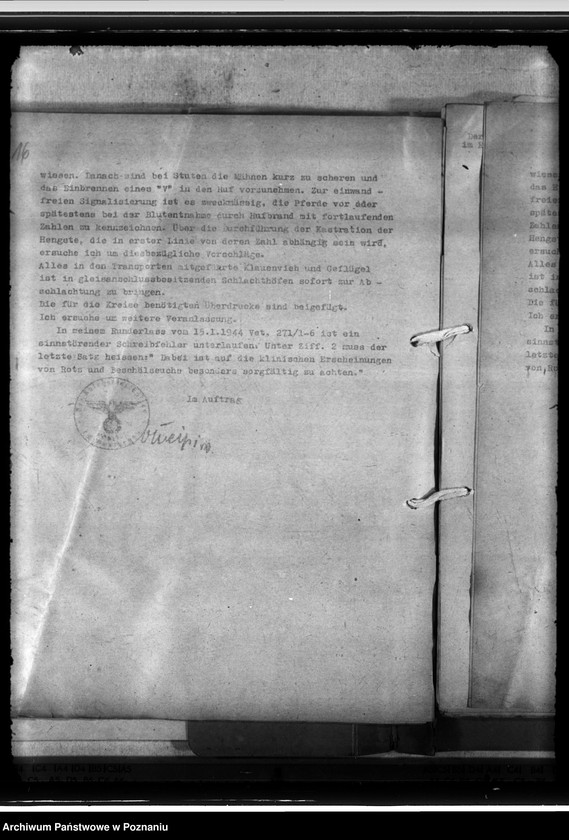 Obraz 20 z jednostki "Einfuhr von Tieren aus den besetzten Ostgebieten - auch der Schwarzmeerdeutschen"