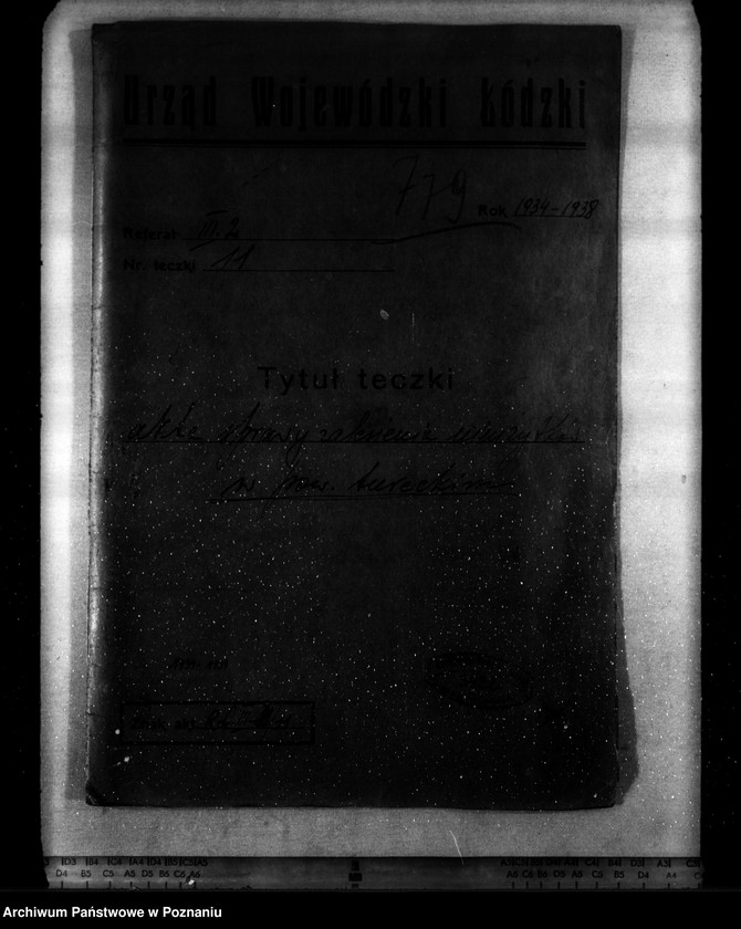 Obraz 4 z jednostki "Zalesienie nieużytków w powiecie tureckim"