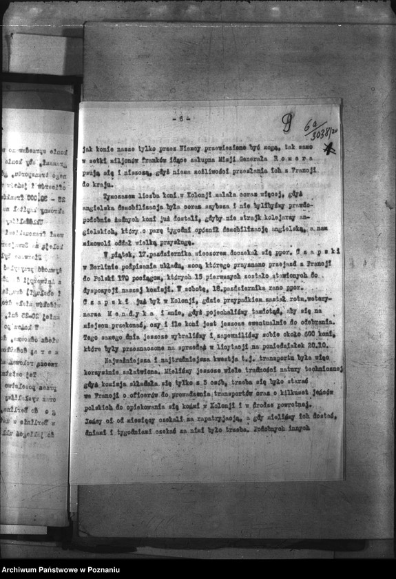 Obraz 13 z jednostki "Przemytnictwo koni"