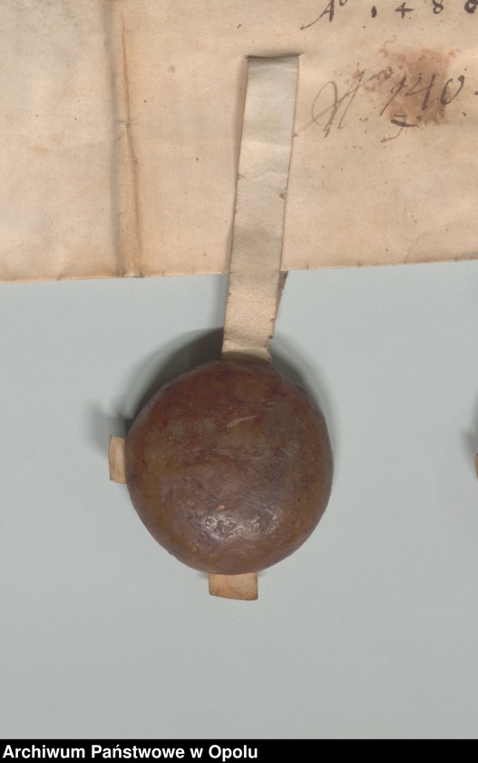 Obraz 7 z jednostki "Jan i Mikołaj, książęta śląscy, na Opolu, Głogówku etc. poświadczają, że stawiła się przed nimi Dorota Pillchwiczynn. Potwierdzają oni jej"