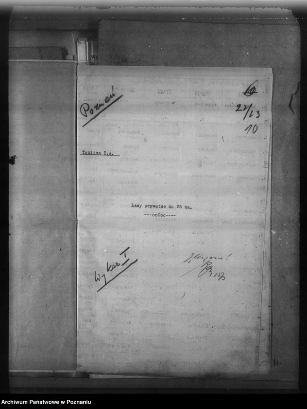 Obraz 14 z jednostki "Lasy do 30 ha na terenie powiatu poznańskiego"