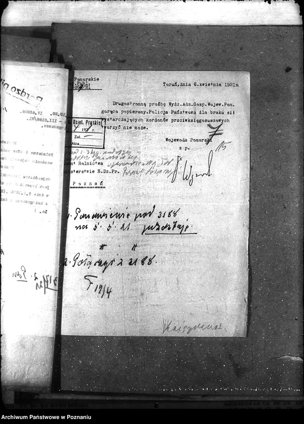 Obraz 19 z jednostki "- księgosusz -"