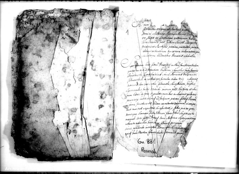 Obraz 3 z jednostki "Relationes [protocollon]"