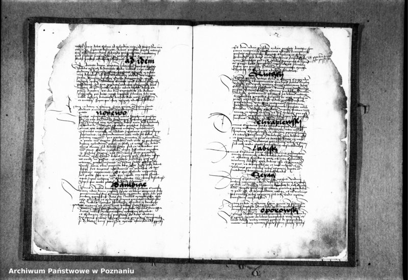 Obraz 6 z jednostki "Inscriptiones, relationes, decreta [protocollon]"