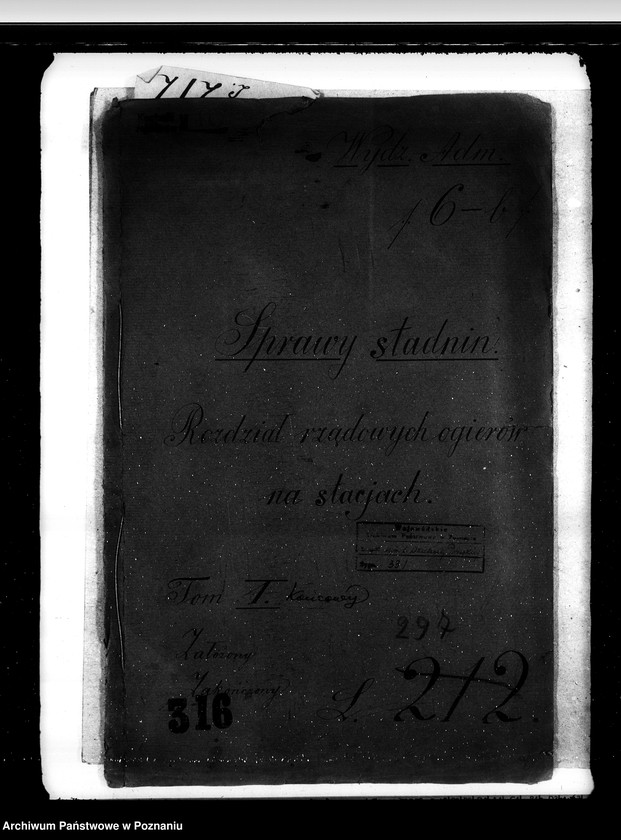 Obraz 4 z jednostki "Sprawy stadnin rozdział rządowych ogierów na stacjach"