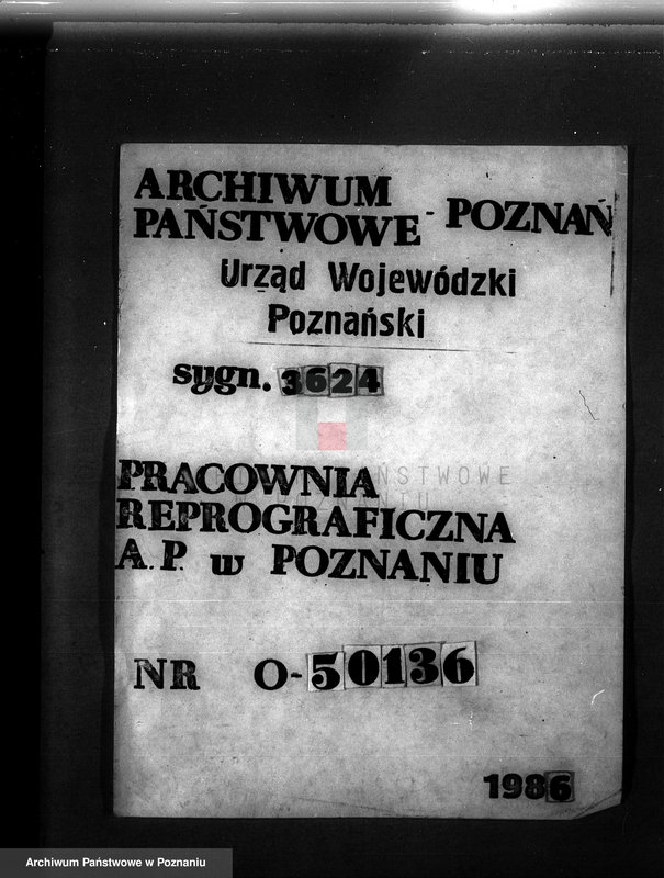 Obraz 1 z jednostki "Majętność /leśna/ Szczeglin Dąbrówka w powiecie mogileńskim"