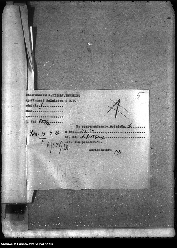 Obraz 9 z jednostki "Szczepionki"