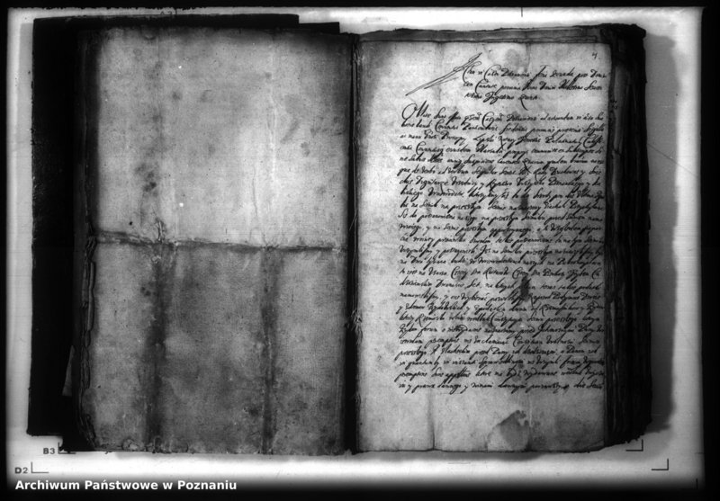 Obraz 7 z jednostki "Lauda [acticantia]"