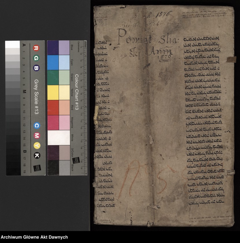 image.from.unit.number "[Rekognicjarz poborowy pow. śląskiego woj. krakowskiego]."