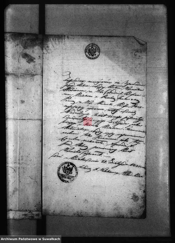 Obraz 10 z jednostki "[Wypisy do akt małżeństw parafii Krasnopol]."