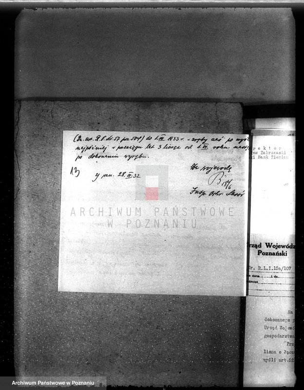 Obraz 17 z jednostki "Nadzór nad gospodarką w lasach majętności Koszuty powiat średzki"