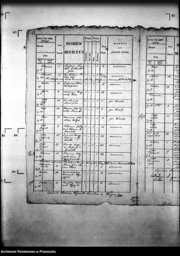 Obraz 16 z jednostki "[Kopie ksiąg metrykalnych parafii Krzywa z filiami Jasionka, Wołowiec (dekanat Gorlice)]"