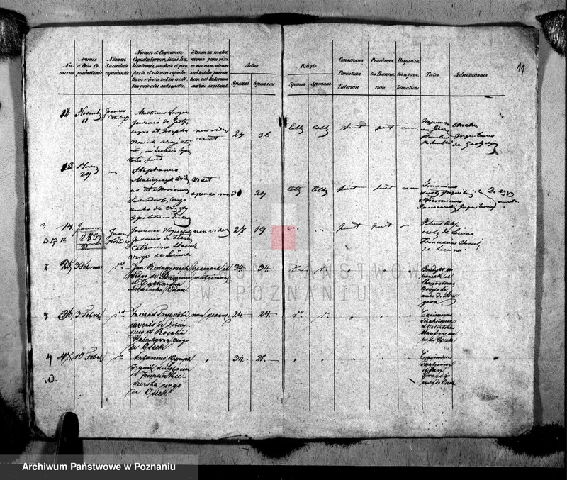 image.from.unit.number "Metrices copulatorum"