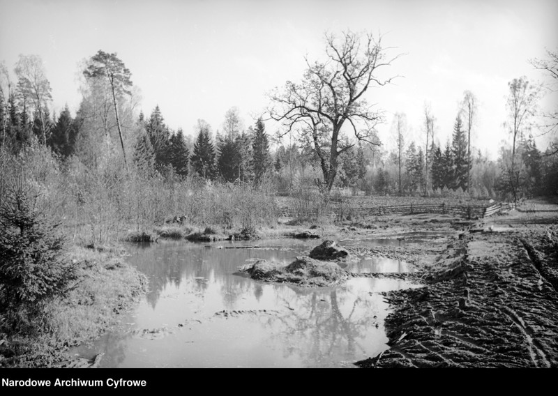 image.from.unit.number "Białowieża"
