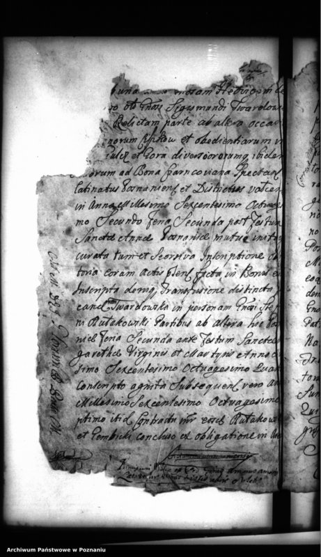 Obraz 8 z jednostki "Inscriptiones, resignationes [protocollon]"