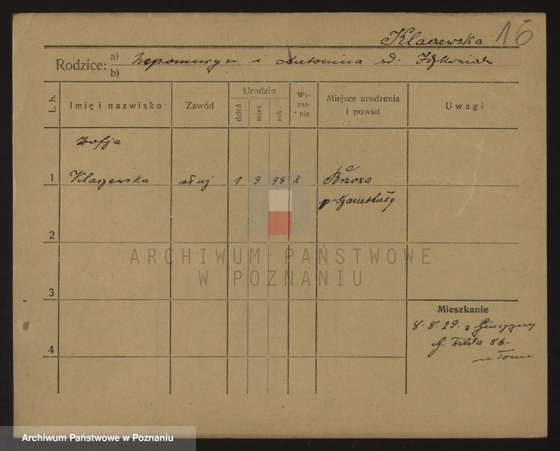 Obraz 16 z jednostki "Kla - Klajne (Klei..)"