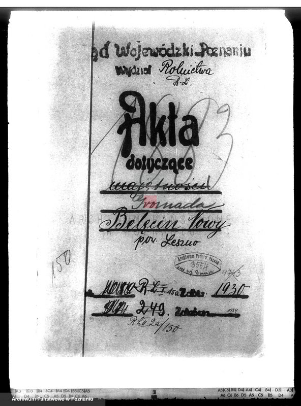 Obraz 4 z jednostki "Las gromady Belęcin-Nowy powiat leszczyński"