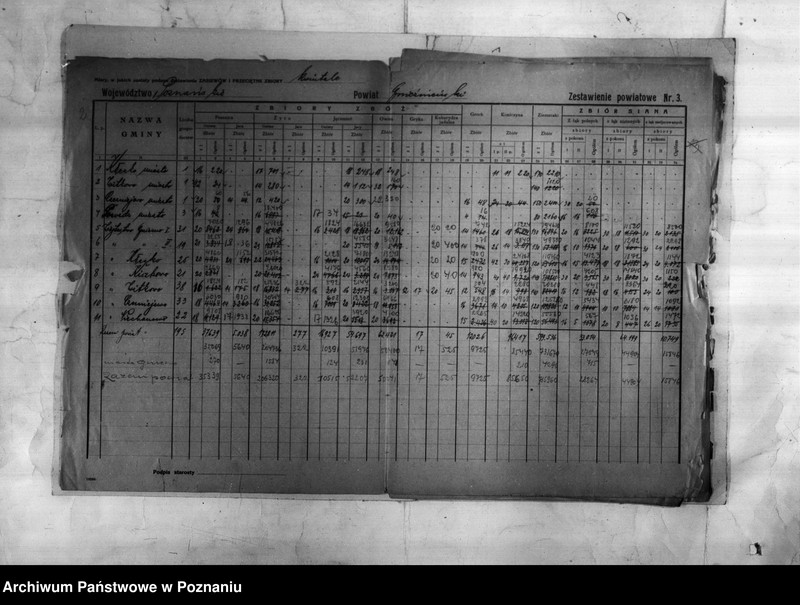 Obraz 4 z jednostki "/Statystyka produkcji rolnej - zestawienie powiatowe z terenu Gniezna/"