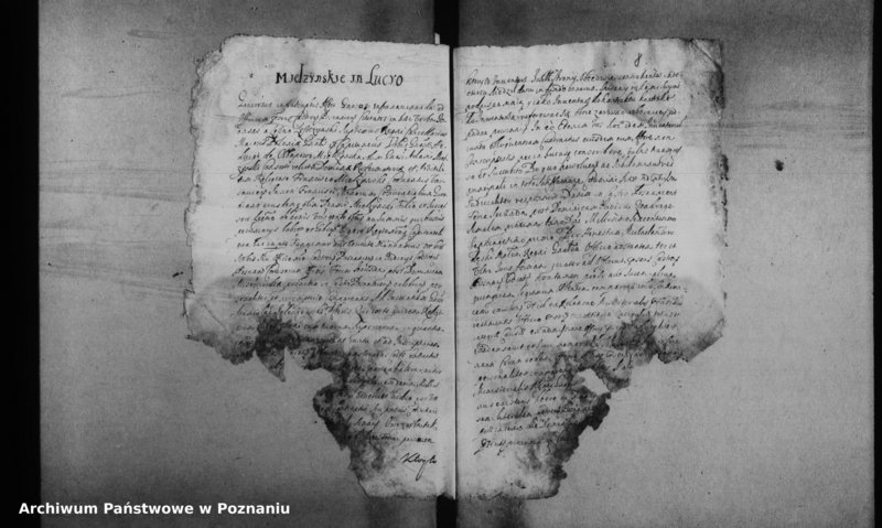 Obraz 11 z jednostki "Decreta officii [inducta]"