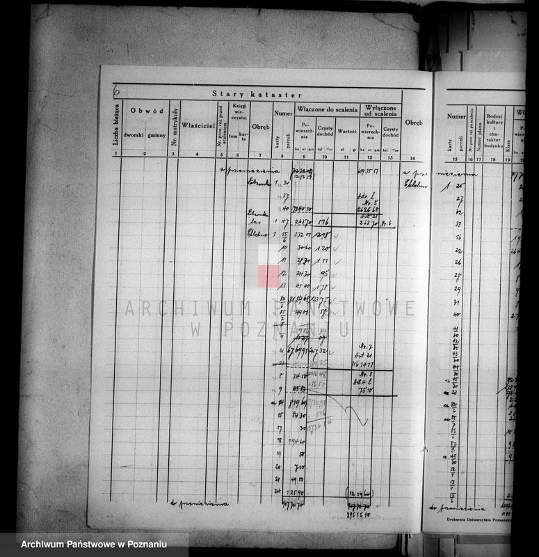 Obraz 10 z jednostki "Ogólne zestawienie powierzchni majątku Łobżenice powiatu wyrzyskiego"