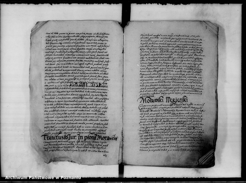 Obraz 7 z jednostki "Inscriptiones, relationes [inducta]"