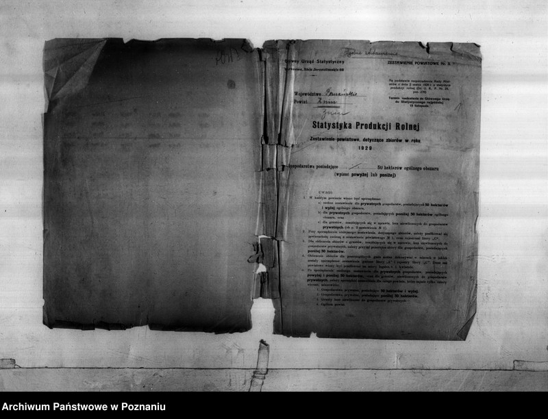 Obraz 3 z jednostki "Statystyka produkcji rolnej - zestawienie z powiatu żnińskiego"