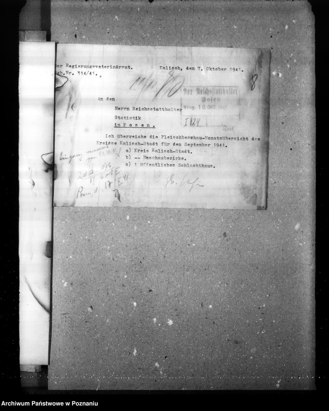 Obraz 12 z jednostki "Statistik über Fleischbeschau und Schlachtungen"