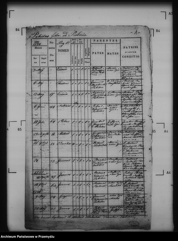 image.from.unit.number "[Kopie ksiąg metrykalnych parafii Pielnia z filiami Dudyńce, Pobiedno, Jędruszkowice, Markowice, Podgaj (dekanat Buków)]"