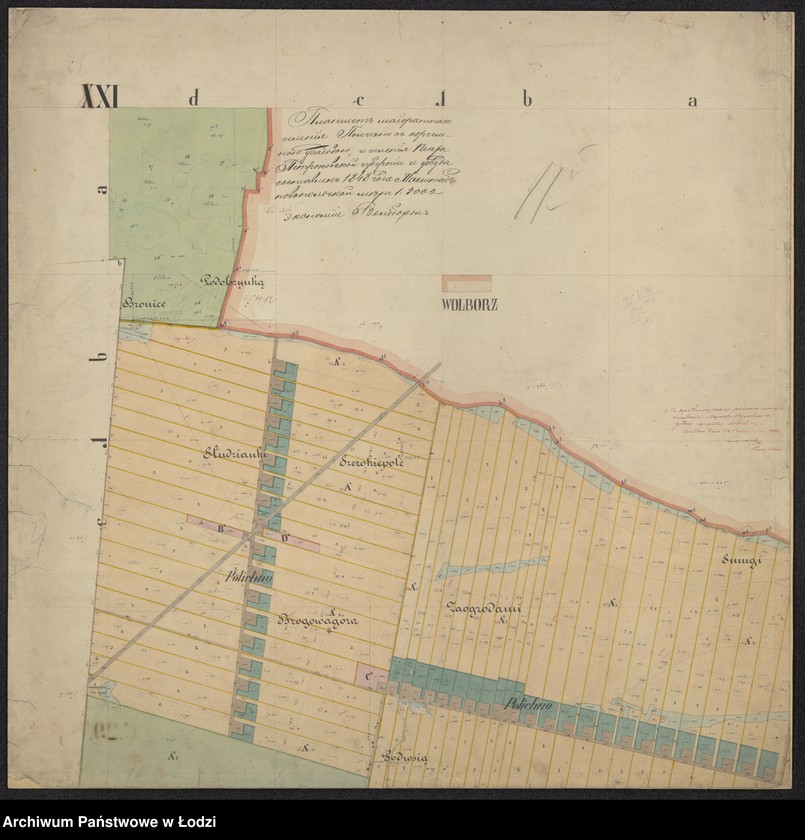 Obraz 8 z jednostki "Plan urządzenia majoratu Wolbórz"