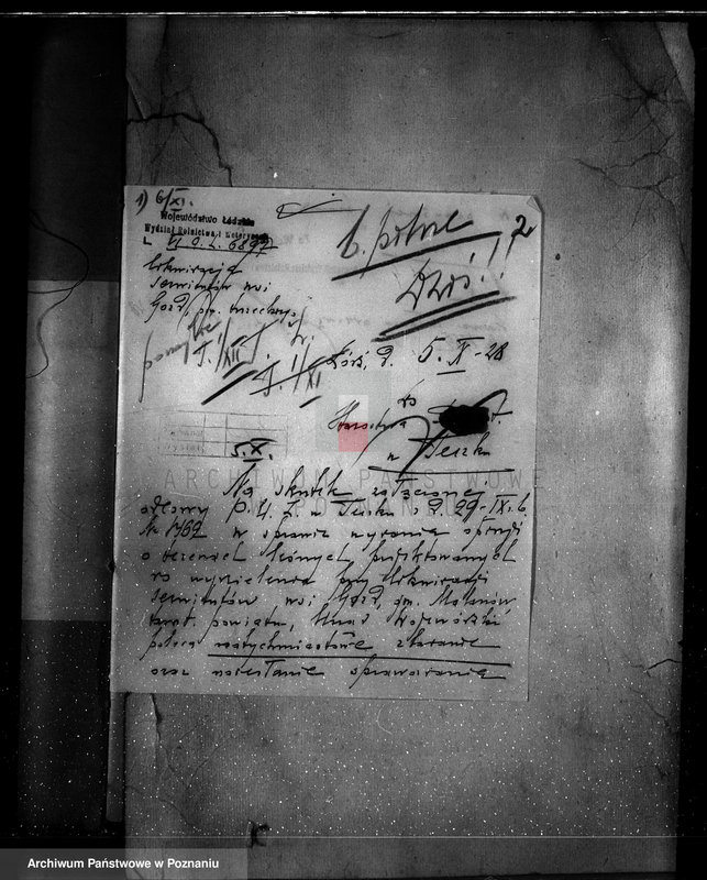 Obraz 6 z jednostki "Zmiana częściowej zmiany orzeczenia dotyczącego lasu majątku Zdzenice powiat turecki"