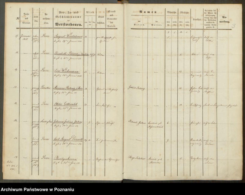 Obraz 4 z jednostki "Sterbenbuch"