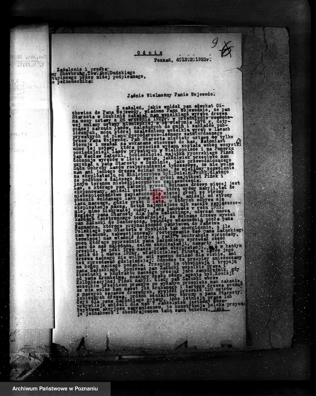 Obraz 14 z jednostki "Majętność leśna Pińsko powiat szubiński"