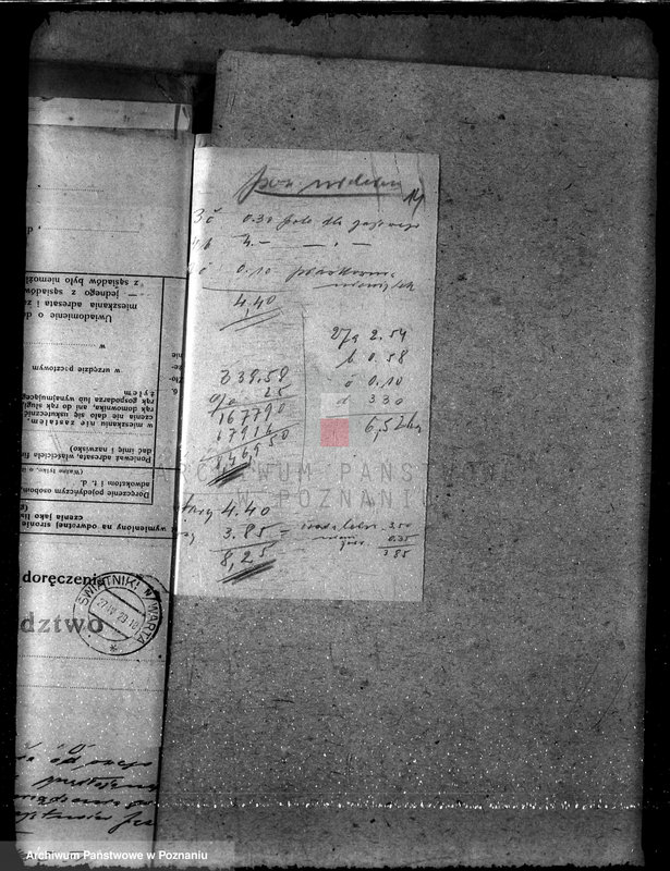 Obraz 18 z jednostki "Majętność leśna Jeżewo w powiecie gostyńskim"