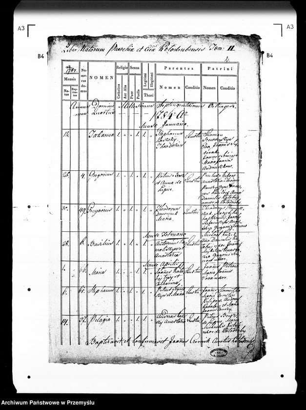 Obraz 5 z jednostki "[Kopie ksiąg metrykalnych parafii Kołodruby (dekanat Komarno)]"