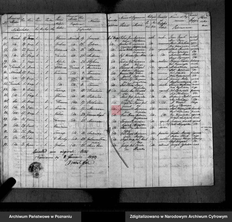 Obraz 11 z jednostki "Duplikat baptisatorum, copulatorum, mortuorum"